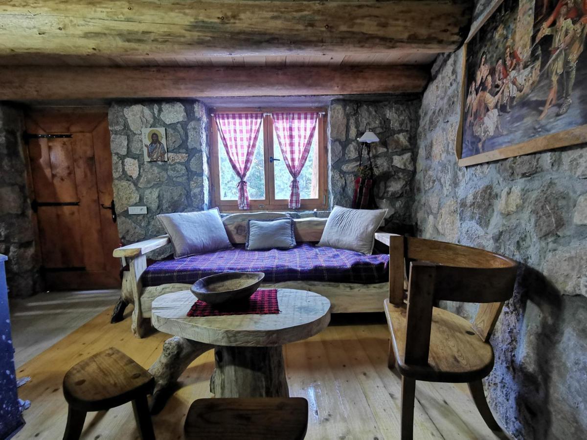 Guesthouse Planinarski Dom Neviden'O Zabljak  Luaran gambar