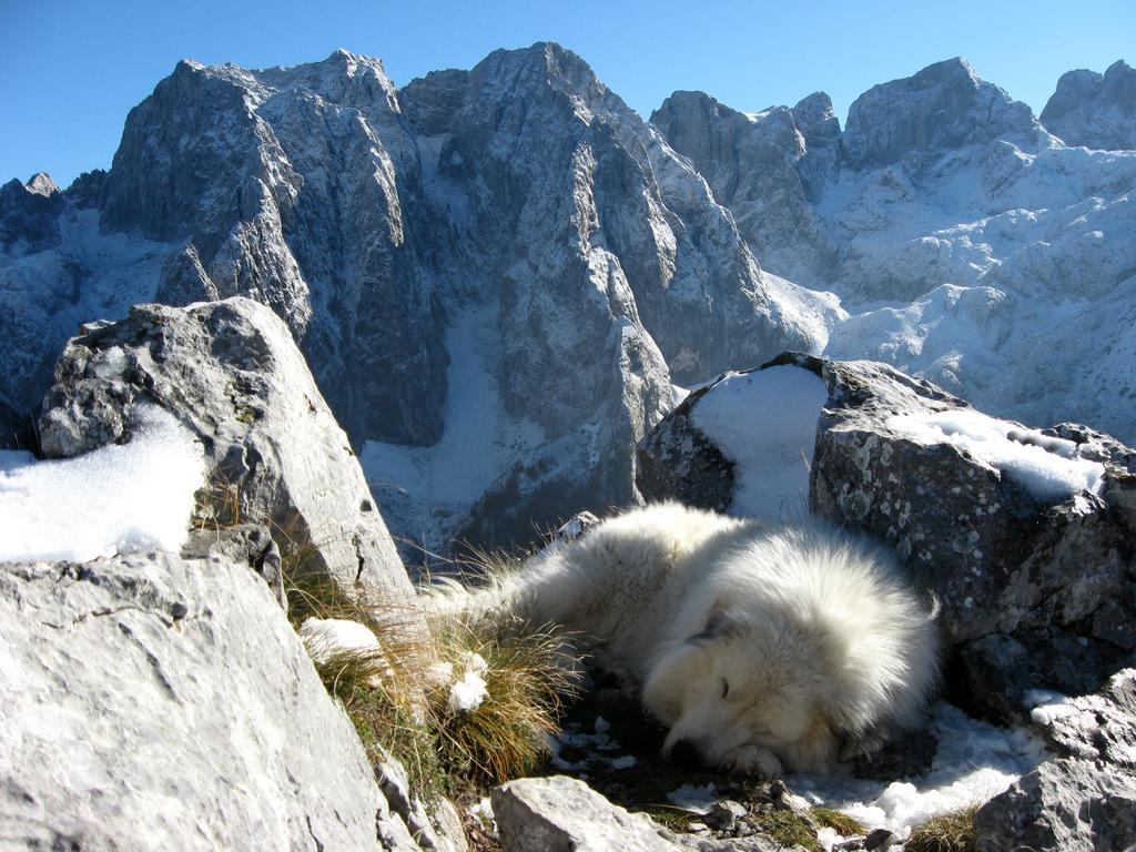 Guesthouse Planinarski Dom Neviden'O Zabljak  Luaran gambar