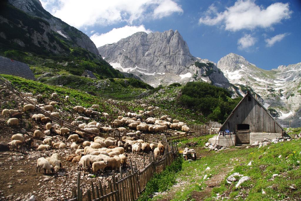 Guesthouse Planinarski Dom Neviden'O Zabljak  Luaran gambar