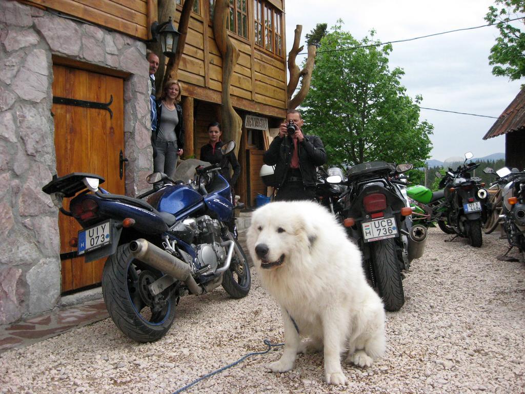 Guesthouse Planinarski Dom Neviden'O Zabljak  Luaran gambar