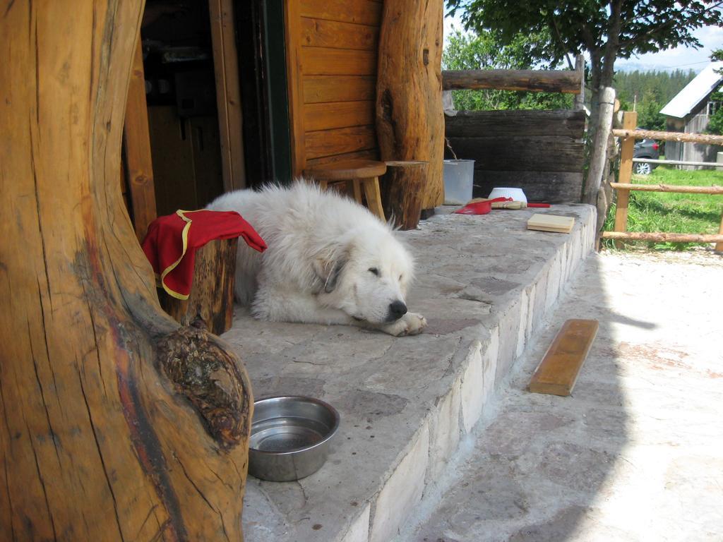 Guesthouse Planinarski Dom Neviden'O Zabljak  Luaran gambar