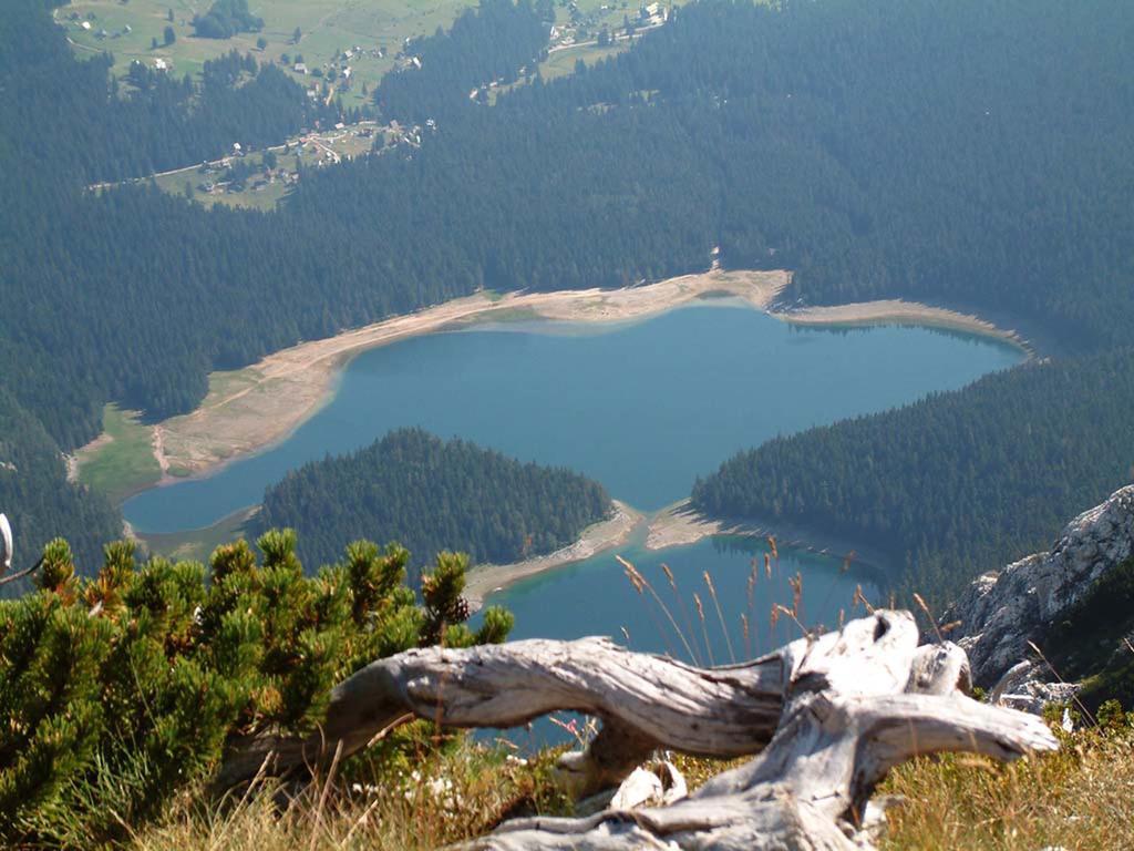 Guesthouse Planinarski Dom Neviden'O Zabljak  Luaran gambar