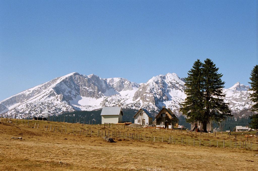 Guesthouse Planinarski Dom Neviden'O Zabljak  Luaran gambar