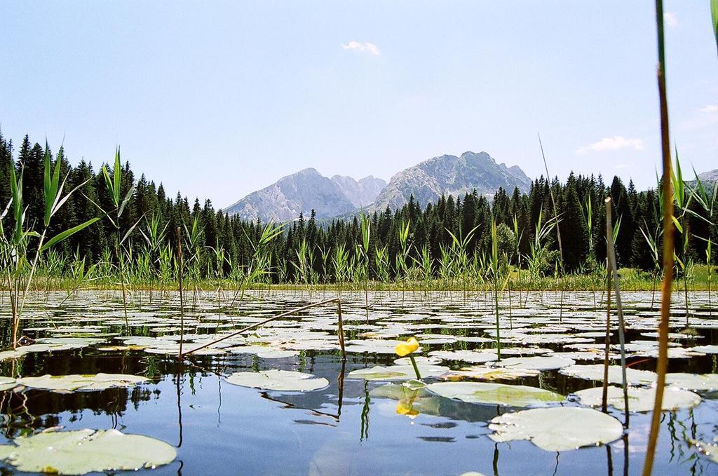 Guesthouse Planinarski Dom Neviden'O Zabljak  Luaran gambar