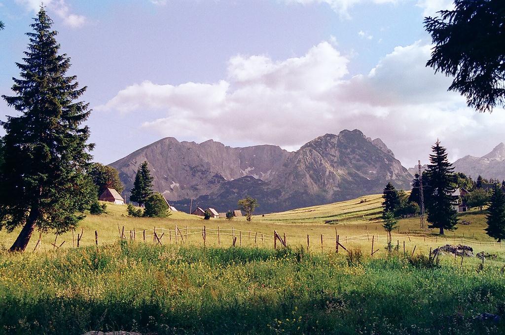 Guesthouse Planinarski Dom Neviden'O Zabljak  Luaran gambar