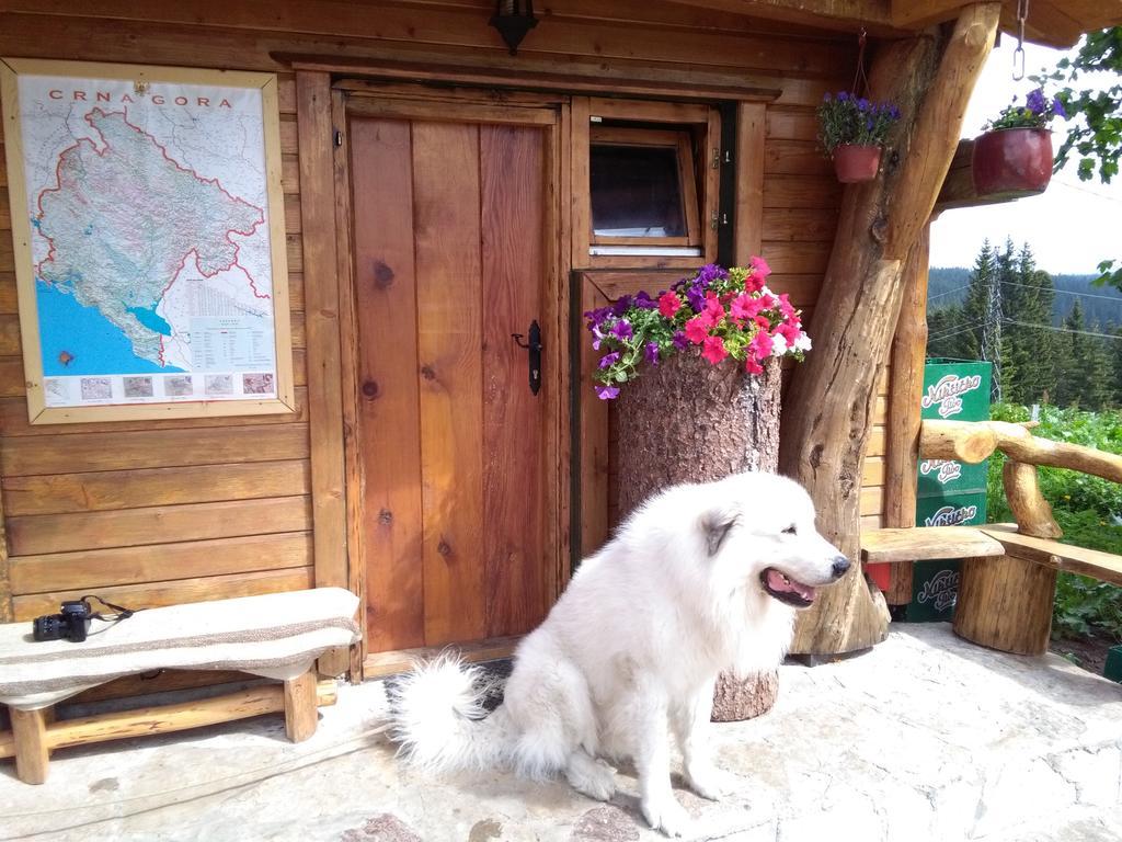 Guesthouse Planinarski Dom Neviden'O Zabljak  Luaran gambar