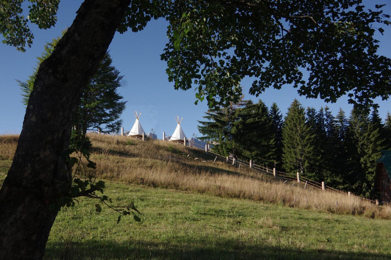 Guesthouse Planinarski Dom Neviden'O Zabljak  Luaran gambar