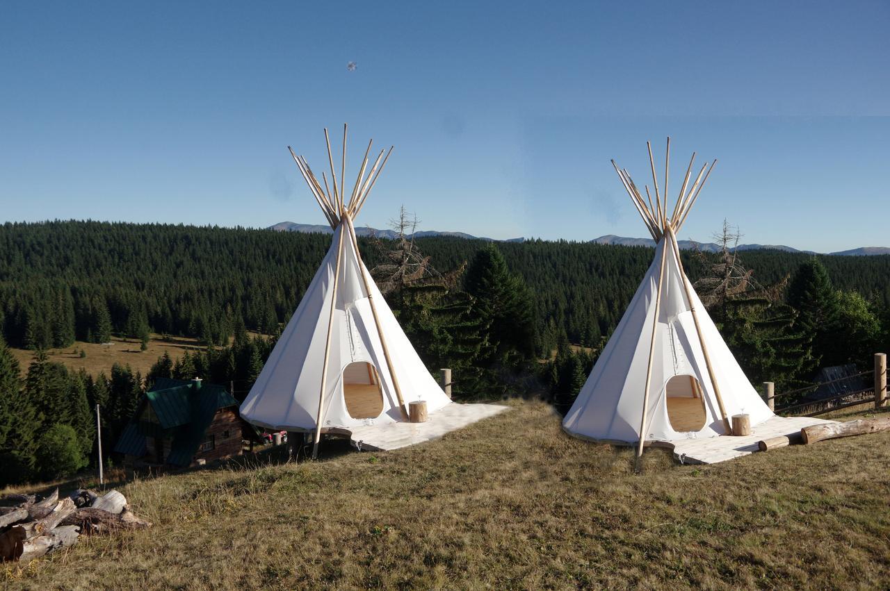 Guesthouse Planinarski Dom Neviden'O Zabljak  Luaran gambar