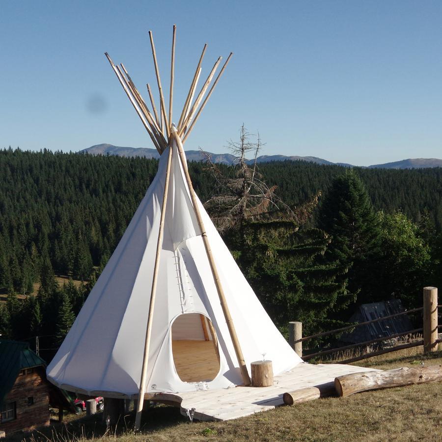 Guesthouse Planinarski Dom Neviden'O Zabljak  Luaran gambar