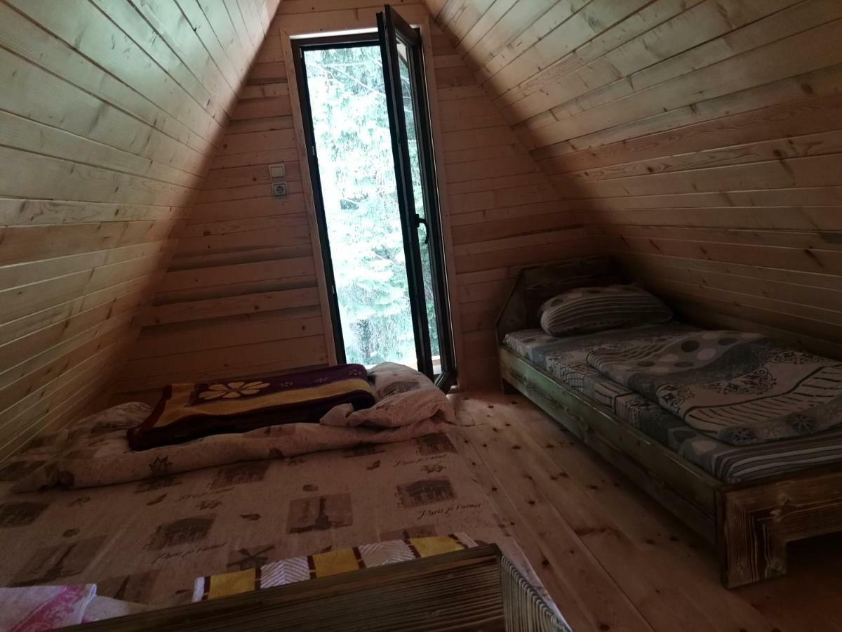 Guesthouse Planinarski Dom Neviden'O Zabljak  Luaran gambar