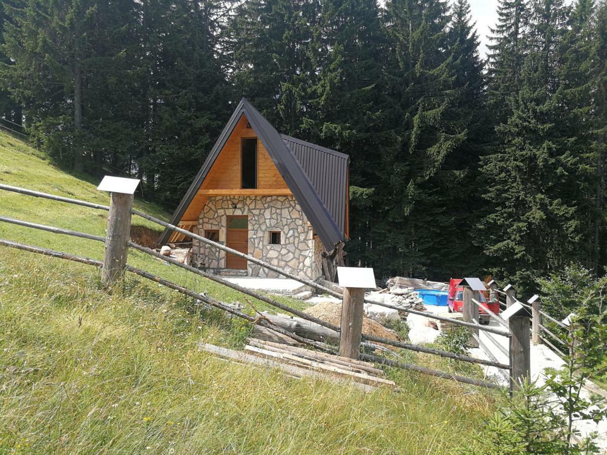 Guesthouse Planinarski Dom Neviden'O Zabljak  Luaran gambar