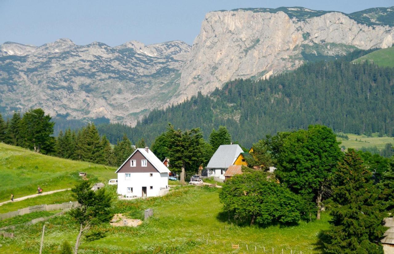 Guesthouse Planinarski Dom Neviden'O Zabljak  Luaran gambar